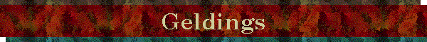 Geldings